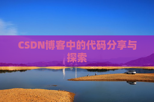 CSDN博客中的代码分享与探索